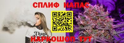 Альфа ПВП Заводоуковск