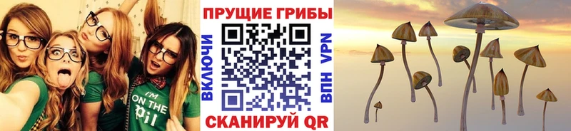 Псилоцибиновые грибы мицелий  где купить наркоту  МЕГА как войти  Рыбинск 